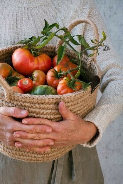 Pin by Judy Shoup on ~ Eat Your Veggies ~ My Kitchen Garden ~ in 2022 | Fruits and veggies, Nourishment, Veggie garden Kitchen Garden, Dream Garden, Fruits And Veggies, Sustainable Living, Farm Life, Food Styling, Fruits And Vegetables, Farmers Market, Vegetable Garden