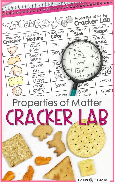 Matter Experiments, 2nd Grade Science, Matter Activities, Activity For Students, Lab Science, Science Kids, Second Grade Science, Lab Activities, 1st Grade Science