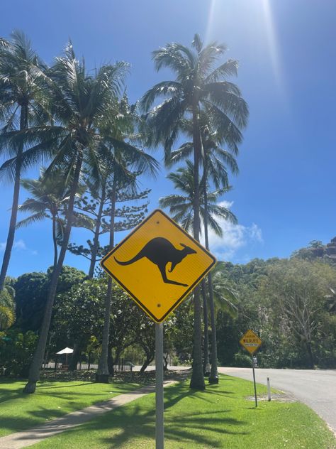 #australia #kangaroo #traveling #backpacking Backpacking Australia Aesthetic, Backpacking Aesthetic, Australia Kangaroo, Australia Backpacking, Dream Vacation, Fav Celebs, Dream Vacations, Backpacking, Kangaroo