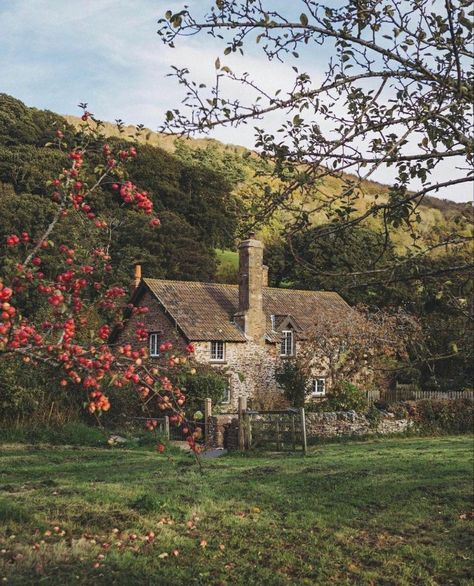 Trees And Flowers, Country Side, Old Stone, A House, Cottage, Trees, Stone, Flowers, Green