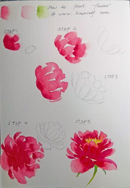 9 How to paint red peony with watercolor      (adsbygoogle = window.adsbygoogle || []).push({});  Watercolor is the color of God because the change of pigment in the water is only known to God. At the same time, the transparency of the watercolor gives the picture a very natural and flexible effect.Note: Watercolor paint is a transparent nature, so be sure to design how to compose the picture and the order of coloring before painting.I have extracted the outline of the shape and color, you can q Watercolor Crafts, How To Paint Watercolor, Beginning Watercolor, Peony Drawing, Flower Drawing Tutorials, Watercolor Flowers Tutorial, Peony Painting, Illustration Blume, Paint Watercolor