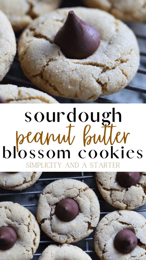 Sourdough Peanut Butter Blossoms, Sourdough Discard Peanut Butter Cookies, Sourdough Peanut Butter, Sourdough Starters, Peanut Butter Blossom, Recipe Using Sourdough Starter, Butter Blossoms, Discard Recipe, Peanut Butter Blossom Cookies