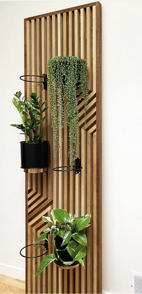 House Plants Decor, Studio Apartment Decorating, Outdoor Wall Decor, Plant Wall, Decoration Design, Living Room Wall, Plant Decor, Outdoor Walls, Potted Plants