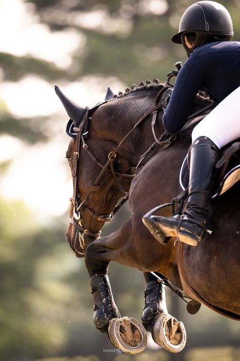 Equestrian Aesthetic Show Jumping, Show Jumping Photography, Equestrian Lifestyle Aesthetic, English Equestrian Aesthetic, Horse Jumping Photography, Showjumping Aesthetic, Jumping Aesthetic, Horseback Riding Outfit, Aesthetic Equestrian