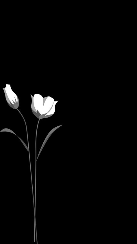 Black Tulips Wallpaper Iphone, Lock Screen Wallpaper Tulips, Dark Tulips Wallpaper, Black Tulips Aesthetic Wallpaper, Lock Screen Wallpaper Aesthetic Black And White, Wallpaper Aesthetic For Home Screen, Black Lock Screen Wallpaper Aesthetic, Hd Homescreen Wallpaper, Home Screen Black Wallpaper