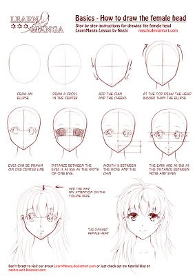 nashi's world: Learn Manga: How to draw the female head Anime Face Drawing, Manga Tutorial, 얼굴 드로잉, Drawing Tutorial Face, Anime Tutorial, 얼굴 그리기, Manga Drawing Tutorials, Anime Head, Drawing Heads