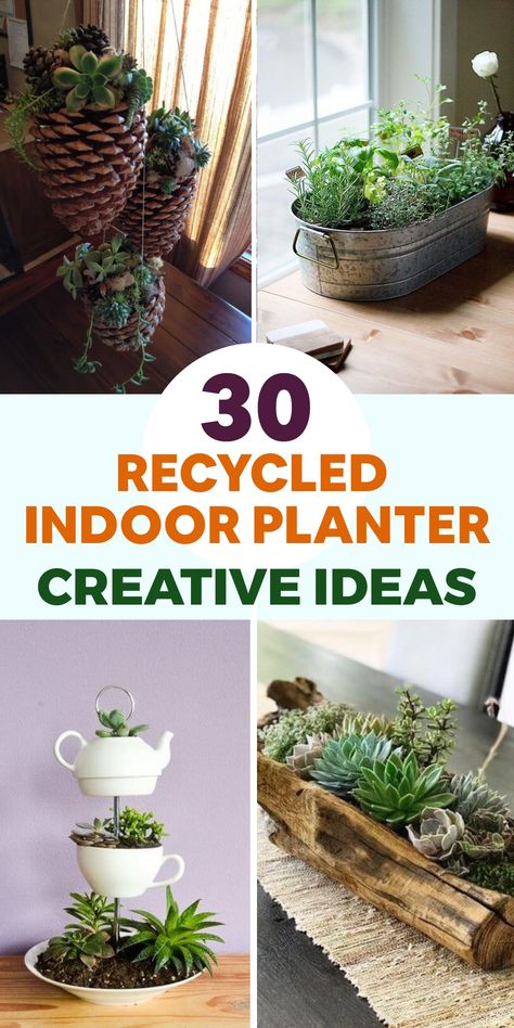 Explore sustainable living by incorporating greenery into your indoor space with these innovative upcycled indoor planter concepts. Repurpose unused mason jars or tin cans by sanitizing them and layering rocks at the bottom for proper drainage. Fill them with enriched soil and cultivate your preferred herbs or petite houseplants. To add a distinctive touch, transform old teacups or coffee mugs into planters by creating drainage holes at the base. Diy Planters Indoor Creative, Old Mason Jars, Diy Entry Table, Cork Planters, Plastic Bottle Planter, Mason Jar Herb Garden, Upcycled Planter, Tin Planters, Grow Herbs