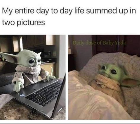 Law School Memes, Law School Humor, College Meme, Legal Humor, Law School Life, Studying Memes, College Memes, Yoda Funny, Hamilton Funny