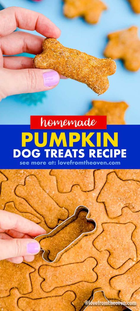 Easy Pumpkin Dog Treats • Love From The Oven Pumpkin Pie Dog Treats, Pumpkin Dog Treats Easy, Pumpkin Treats For Dogs, Homemade Pumpkin Dog Treats, Pumpkin And Peanut Butter, Dog Treats Homemade Pumpkin, Paw Crochet, Dog Cookie Recipes, Dog Treats Recipe