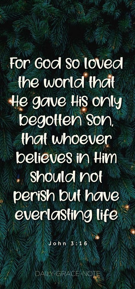 John 3 16 Christmas, John 3 16 Wallpaper, Patty Smith, Funny Christian Jokes, Bf Quotes, Christian Quotes Wallpaper, Daily Grace, 1st December, God So Loved The World