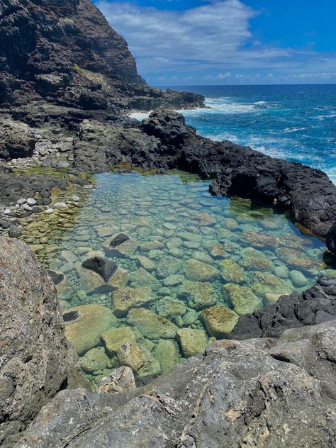 Tidepools Aesthetic, Makapuu Tidepools, Hawaiian Aesthetic, Recreate Pics, Mako Island, Hawaiian Ocean, Hawaii Ocean, Moving To Hawaii, Conservation Of Natural Resources