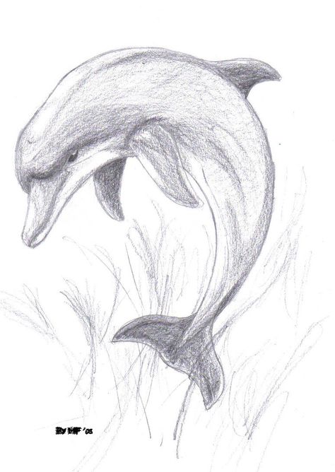 Easy Pencil Drawings, Dolphin Drawing, Pencil Drawings Of Animals, Animal Drawings Sketches, Cutest Animals, Easy Drawings Sketches, Sister Tattoos, Pencil Art Drawings, Art Drawings Sketches Creative