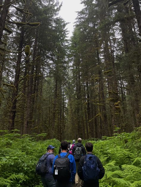 People Hiking, Hiking Forest Aesthetic, Female Hiking Aesthetic, Group Hike Aesthetic, Hiking View Aesthetic, Travel Pictures Poses, Outdoor Aesthetic, Nature Hikes, Senior Trip