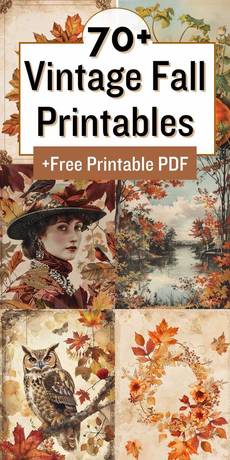 Transform your home into an autumn haven with these 70+ FREE printable vintage fall botanicals! Perfect for wall art, junk journals, card making, and more. Embrace the cozy vibes of fall with these timeless prints. #vintagefall #botanicalprints #freeprintables #falldecor #junkjournal #cardmaking #DIYdecor #autumnvibes #printablewallart Autumn Images Vintage, Fall Journal Printables, Simple Fall Cards To Make, Autumn Words Free Printable, Vintage Vegetable Prints, Vintage Fall Postcards, Decoupage Printables Image Transfers, Autumn Wall Art Free Printables, Fall Free Printables Prints