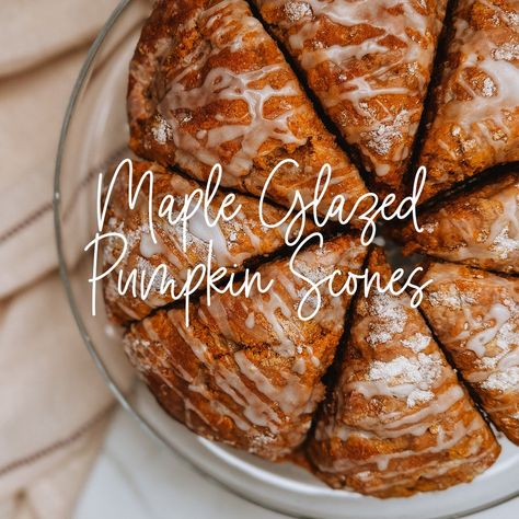 Pumpkin Scones with Maple Glaze Pumpkin Pecan Scones, Pumpkin Maple Scones, Pumpkin Spice Scones Recipe, Easy Pumpkin Scones Recipe, Buttermilk Pumpkin Scones, Pumpkin Scones With Maple Glaze, Pumpkin Sourdough Scones, Pumpkin Scones Recipe Easy, Sourdough Pumpkin Scones