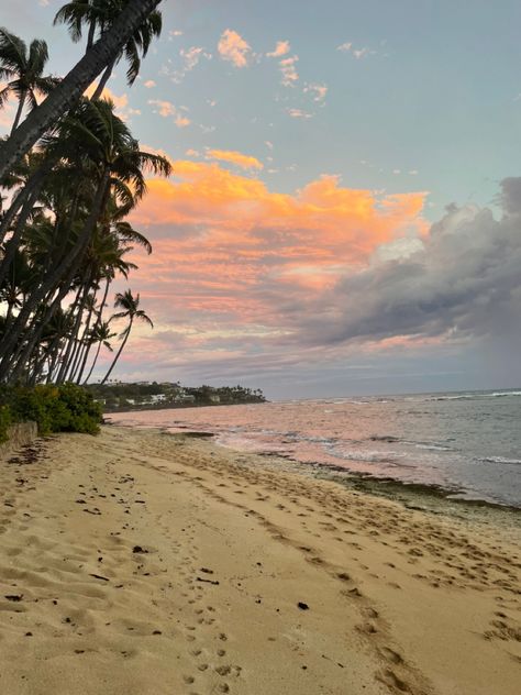 Orange Sunset Beach, Uh Manoa, Outside Nature, Sunset Palm Trees, Sunset Pic, Hawaii Pictures, Hawaiian Sunset, North Shore Oahu, University Of Hawaii