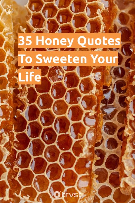 Cute Honey Bee Sayings, Sweet As Honey Quotes, Honey Quotes Bee, Sweet Like Honey Quote, Bee Quotes Inspiration Life, Beekeeping Quotes, Honey Captions, Honey Quotes For Him, Quotes About Honey