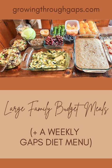 Large Family Nourishing Budget Meals, GAPS Diet, Paleo, Food Prep, Kitchen Hacks, Bulk Food Prep, Whole Foods, 5 Day Meal Plan, Healthy Meals, Groceries on a Budget

Nourishing recipes, or eating a GAPS diet meal plan does not have to be extraordinarily expensive, even for a large family.  I once heard someone say, “What we do not spend on healthy food now, we will pay for in medical bills later.” Gf Meal Planning On A Budget, Gaps Diet Dinner Recipes, Gaps Diet Meal Plan, Gaps Meal Plan, Gap Diet Recipes, Full Gaps Recipes, No Processed Food Diet Meal Planning, Full Gaps Diet Recipes, Bulk Meals For Family