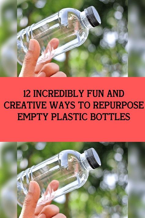 Empty Plastic Bottles, Plastic Water Bottles, Pill Bottles, Panda Funny, So Creative, Tiny Home, Viral Trend, Plastic Bottle, Viral Post