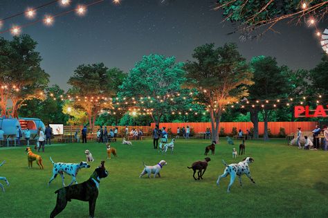 Pooch-friendly concept is now projected to open in phases, beginning around Halloween. Dog Park Design, Dog Sanctuary, Indoor Dog Park, Pet Cafe, Dog Kennel Designs, Doggy Daycare, Ice House, Paw Paws, Dog Hotel