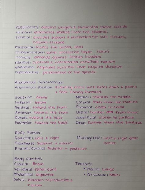 The girls at work seem to get a kick out of my handwriting. Here are some of my school notes. - Imgur: Handwriting Ideas, Medical Notes, Pretty Handwriting, Neat Handwriting, College Notes, Nursing School Studying, Medical School Studying, Nursing School Notes, Science Notes