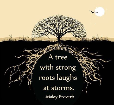 tree  jimmybes26  posted a photo:  	         Wisdom from nature  http://www.flickr.com/photos/145832107@N03/32152128430/ Roots Quotes, Tree Of Life Quotes, Tree Quotes, Gratitude Challenge, Free Your Mind, Life Quotes Love, Tree Roots, Inspirational Artwork, Nature Quotes