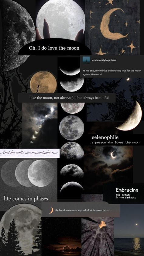 Love the moon 🌙 #moon #selenophile #dark Selenophile Aesthetic Wallpaper, Alternative Reality, Moon And Stars Wallpaper, Blue Moon Photography, Iphone Wallpaper Classy, The Moon Is Beautiful, Moon Moon, Dark Nature Aesthetic, Whatsapp Wallpaper