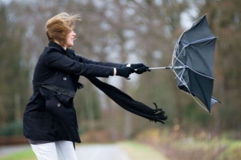 WINDY WEATHER: Parts of Costa del Sol to be battered by gusts of over 70km/h THIS WEEKEND #Andalucia #Lead Windy Girl, Spanish Weather, Head Wound, Bay Of Biscay, Hair In The Wind, Olive Press, New Spain, Windy Weather, Rain Storm