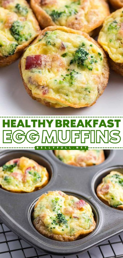 Turn to this muffin tin recipe for an easy breakfast on the go! These baked eggs in muffin tins are the perfect back to school food. Not only are these healthy Breakfast Egg Muffins high-protein, low-carb, gluten-free, and keto-friendly, but they are also delicious! Healthy Muffin Tin Breakfast Recipes, Make Ahead Egg Cups Muffin Tins, Protein Cups Breakfast, Breakfast Muffins No Egg, Healthy Low Carb Breakfast On The Go, Muffins For Runners, Egg Bits In Muffin Tin Healthy, Gluten Free Egg Muffin Cups, Egg Bite Muffin Tin Recipe