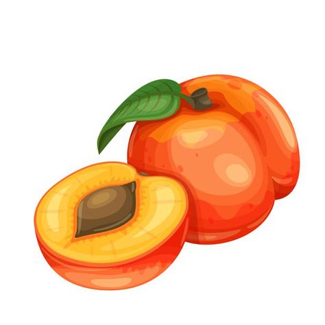 Peach Fruit Drawing, Fruits Animation, Fruit Animation, Peach Vector, Peach Cartoon, Drawing Fruits, Cartoon Peach, Peach Drawing, Peach Graphic