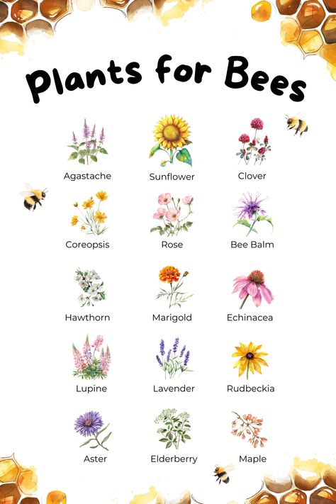 Poster of plants that support bees Pollinator Friendly Yard, Best Garden Plants For Beginners, Insect Friendly Garden, Flowers That Bees Like, How To Attract Bees To Your Garden, Bee Garden Ideas, Butterfly And Bee Garden, Pollinator Garden Ideas, Butterfly Garden Ideas