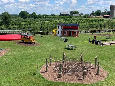 3 Petting Farm Ideas, Mobile Petting Zoo Ideas, Agrotourism Ideas Farms, Farm Playground, Mobile Petting Zoo, Agritourism Farms, Tire Playground, Festival Grounds, Petting Farm