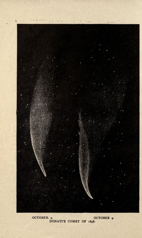 Vintage Astronomy Prints, Vintage Astronomy, Halley's Comet, October 5th, Astronomy Art, Aesthetic Space, Season Of The Witch, Photo Wall Collage, Space And Astronomy