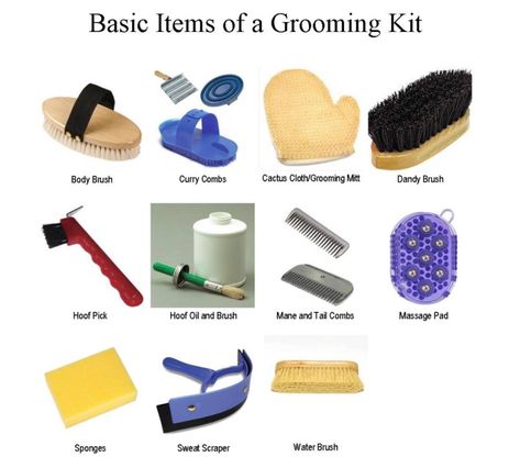 Basic grooming kit Grooming Kits For Horses, Grooming Kit Horse, Stable Management, Horse Grooming Supplies, Horse Grooming Kit, Horse Brushes, Horse Lessons, Horse Information, Horse Food