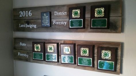 #4h #awards #display #board #kids #accomplishments #plaques #ribbons #forestry #landjudging #forest #award #success Trophy Plaque Display Ideas, Award Plaque Wall Display Ideas, Award Plaque Display Ideas, Plaque Display Ideas, Award Wall Display Ideas, 4h Leader, Award Wall, Wall Display Ideas, Awards Display