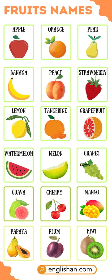 Fruit Names in English Fruits Vocabulary English, Fruit In English, Fruits Pictures For Kids, Fruits Name List, Vegetables Names With Pictures, Fruits Name With Picture, English Kindergarten, Vegetables Pictures, Fruits Name