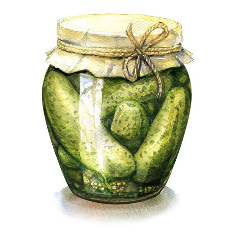 Homemade Pickled, Canned Cucumbers In Glass Jar Isolated, Watercolor Illustration Stock Illustration - Illustration of aquarelle, marinated: 79879365 Canned Cucumbers, Watercolor Monogram, Food Sketch, Food Illustration Art, Watercolor Food, Beautiful Bugs, Decoupage Vintage, 수채화 그림, China Art