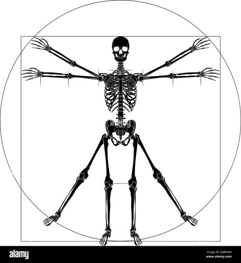 Vitruvian Man Tattoo, Da Vinci Vitruvian Man, Man Tattoo, Vitruvian Man, Army Pics, Human Anatomy Art, Anatomy Sketches, Skull Artwork, Cycling Art