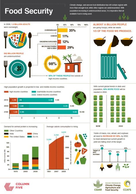 Is The Future Of Our Food Safe  Infographic Facts About Food, Global Citizenship, Scary Facts, Green Revolution, Food Infographic, Food Technology, Food Tech, World Hunger, Fat Loss Foods