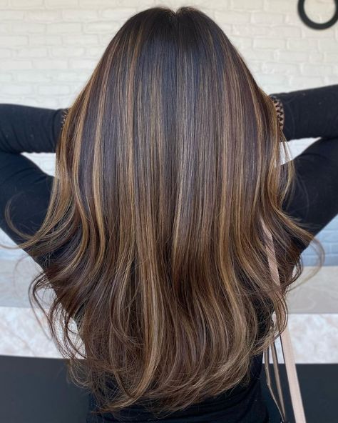 Trendy Brown Hair, Rambut Brunette, Natural Brown Hair, Highlights For Dark Brown Hair, Cinnamon Hair, Brunette Hairstyles, Brown Hair Looks, Honey Brown Hair, Brown Hair Inspo