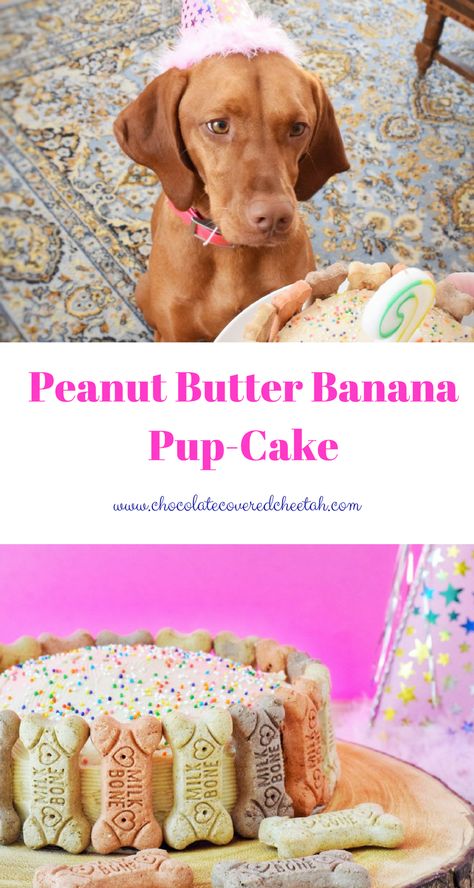 Peanut Butter Banana Pup-Cake - Sprinkles & Sea Salt Cake For A Dog, Yogurt Frosting, Cake Peanut Butter, Dog Birthday Cake Recipe, Dog Cake Recipes, Cake Dog, Salt Recipes, Dog Biscuit Recipes, Puppy Cake