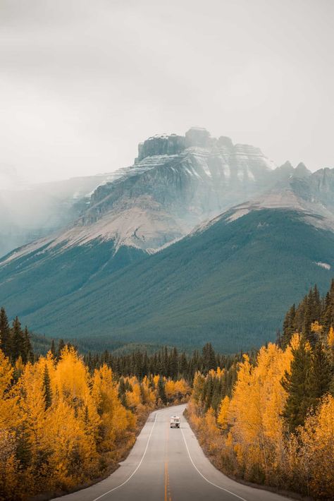 Alberta Canada Travel, Canada Mountains, Fairmont Chateau Lake Louise, Get Paid To Travel, Paid To Travel, Alberta Travel, Roadtrip America, Maligne Lake, Mountains Aesthetic