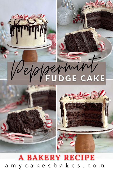 This peppermint chocolate cake combines layers of super moist and rich chocolate cake with fudgy chocolate peppermint ganache and creamy peppermint buttercream. At Amycakes Bakery, Peppermint Fudge Cake was the most popular seasonal cake flavor--the perfect holiday cake! Peppermint Ganache Recipe, White Chocolate Peppermint Frosting, York Peppermint Patty Cake, Popular Cakes 2023, Christmas Cakes Chocolate, Chocolate Peppermint Cake Recipe, Peppermint Fudge Cake, Dark Chocolate Peppermint Cake, Chocolate Cake With Peppermint Frosting