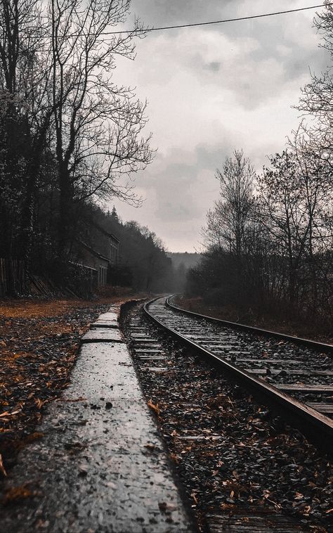 #cloudy #forest #rails #railway #Nature. Read more: https://wallpapershd.info/wallpaper-forest-cloudy-railway-rails-1584909303.html Check more at https://wallpapershd.info/wallpaper-forest-cloudy-railway-rails-1584909303.html Cloudy Forest, Cool Wallpapers For Your Phone, Train Wallpaper, Wallpaper Forest, Wallpaper Drawing, Christmas Wallpaper Free, Nature Creative, Cold Autumn, Instagram Background