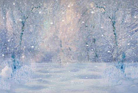 Kate Winter Snow Forest Dusk Backdrop for Photography Onederland Invitations, Winter Wonderland Background, Winter Wonderland Wedding Theme, Winter Wonderland Party Theme, Wonderland Wedding Theme, Christmas Photo Album, Cloth Backdrop, Winter Backdrops, Winter Wonderland Theme