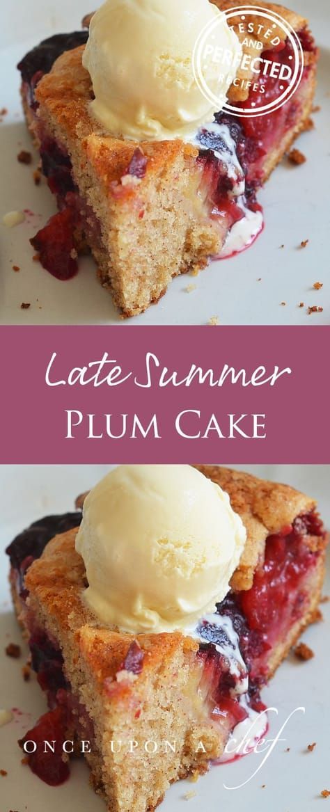 Plum Breakfast Cake, Spiced Plum Custard Cake, Plum Peach Recipes, Buttermilk Plum Cake, Peach And Plum Recipes, What Can You Make With Plums, Plum Loaf Cake, Plum Dump Cake, Plum Dessert Recipes Easy