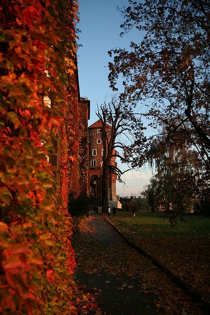 Krakow Royal Castle by Bobem3, via Flickr Krakow Autumn, Priest Aesthetic, Poland Aesthetics, Royal Castle, Aesthetic Dark Academia, Royal Castles, Krakow, Dream Destinations, Planet Earth