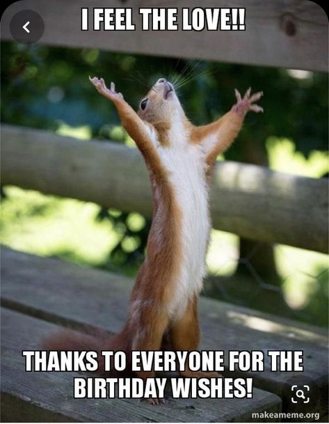 Thank You For Birthday Wishes, Happy Birthday Wishes For A Friend, Happy Squirrel, Friday Meme, Funny Happy Birthday Wishes, Funny Friday Memes, Birthday Wishes Funny, Happy Birthday Meme, Happy Birthday Funny