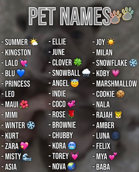 Top Dog Names, Nicknames For Friends, Cute Animal Names, Names Dog, Cute Puppy Names, Cute Pet Names, Cute Names For Dogs, Animal Names, Anime Outfit