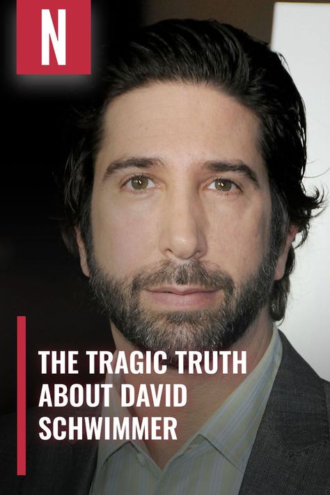 David Schwimmer is undoubtedly one of the most successful actors on television, thanks in large part to his standout performance in the widely acclaimed sitcom "Friends." #friendscast #davidschwimmer #celebs Celebrities, Swift, Best Friends, Jennifer Aniston, David Schwimmer 90s, David Schwimmer, Friends Cast, The Voice, Actors